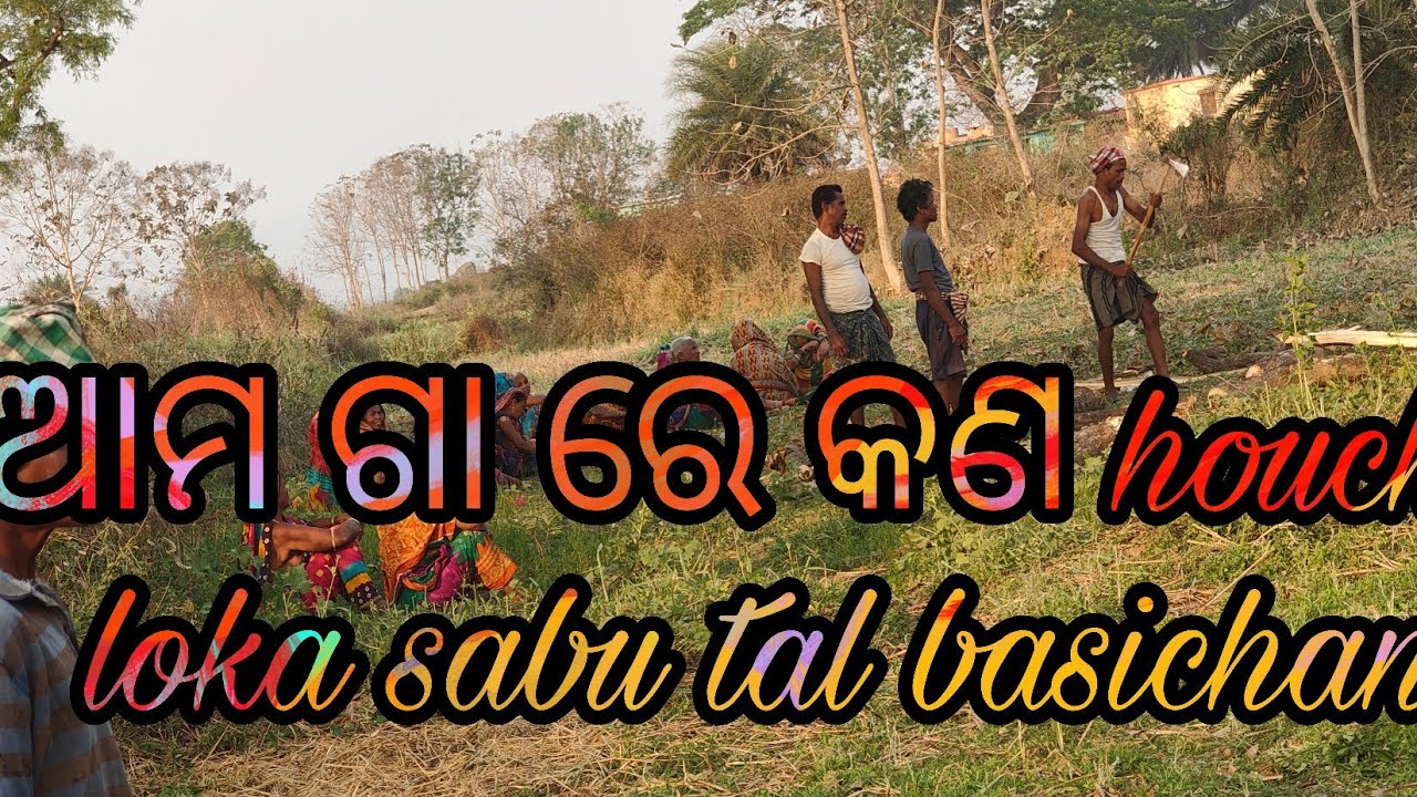 ଆମ୍ ଗା ରେ ସାବୁ ଲୋକା ମିସି କନ କାରୁଚନଥି ll ଆସ ଦେଖି ବା 🙄 ll #@ajuvlog123