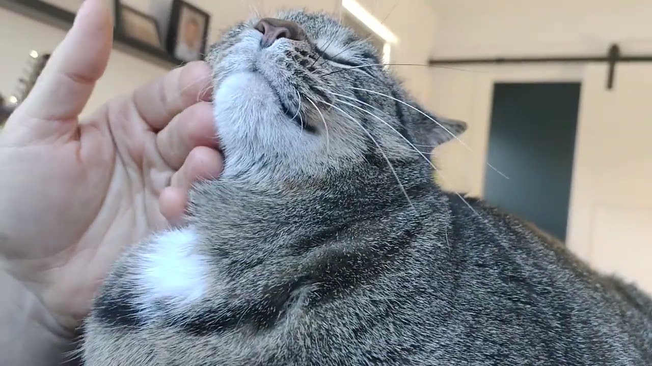 Morning wake up