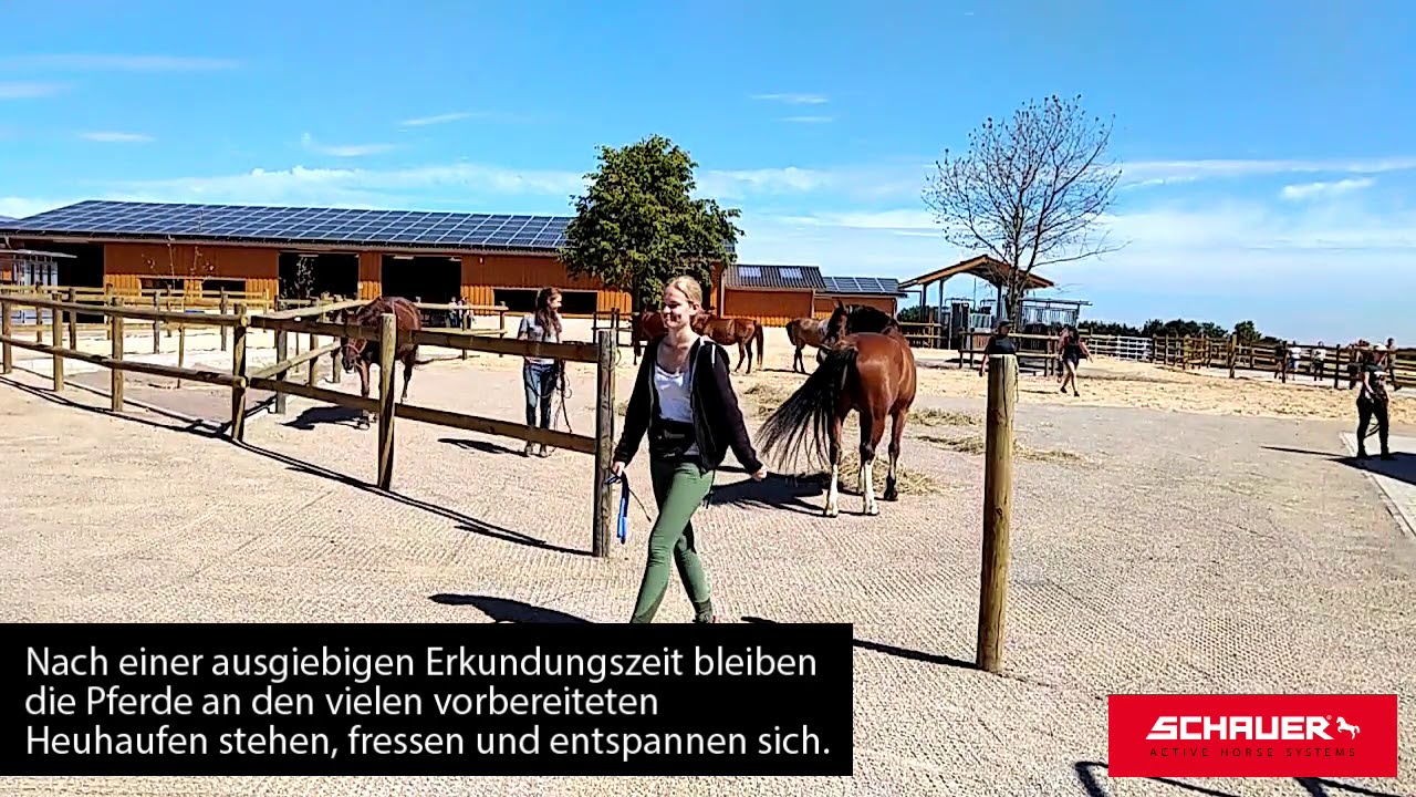 Aktivstall von Gut Bentgerhof