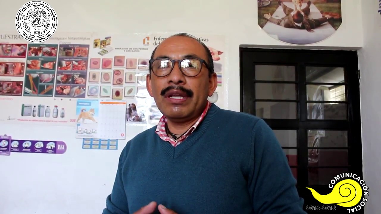 Visita al Antirrabico