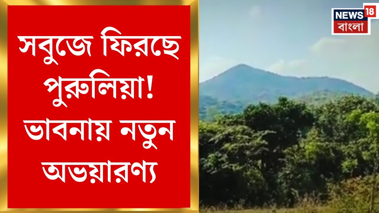 Purulia News | পুরুলিয়ায় বাড়ছে বনাঞ্চল, জোরদার হচ্ছে বন্যপ্রাণের আনাগোনা | Bangla News