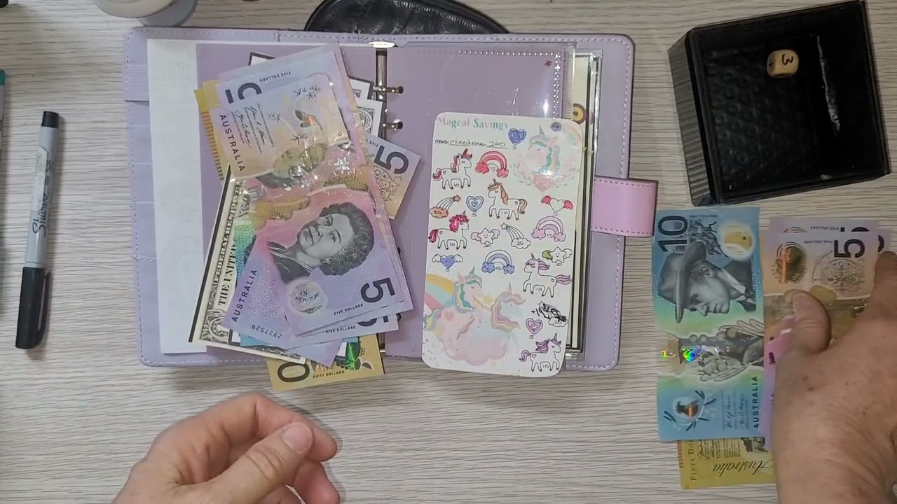 Saving Sunday how i am  working on emergency and grandkids savings 