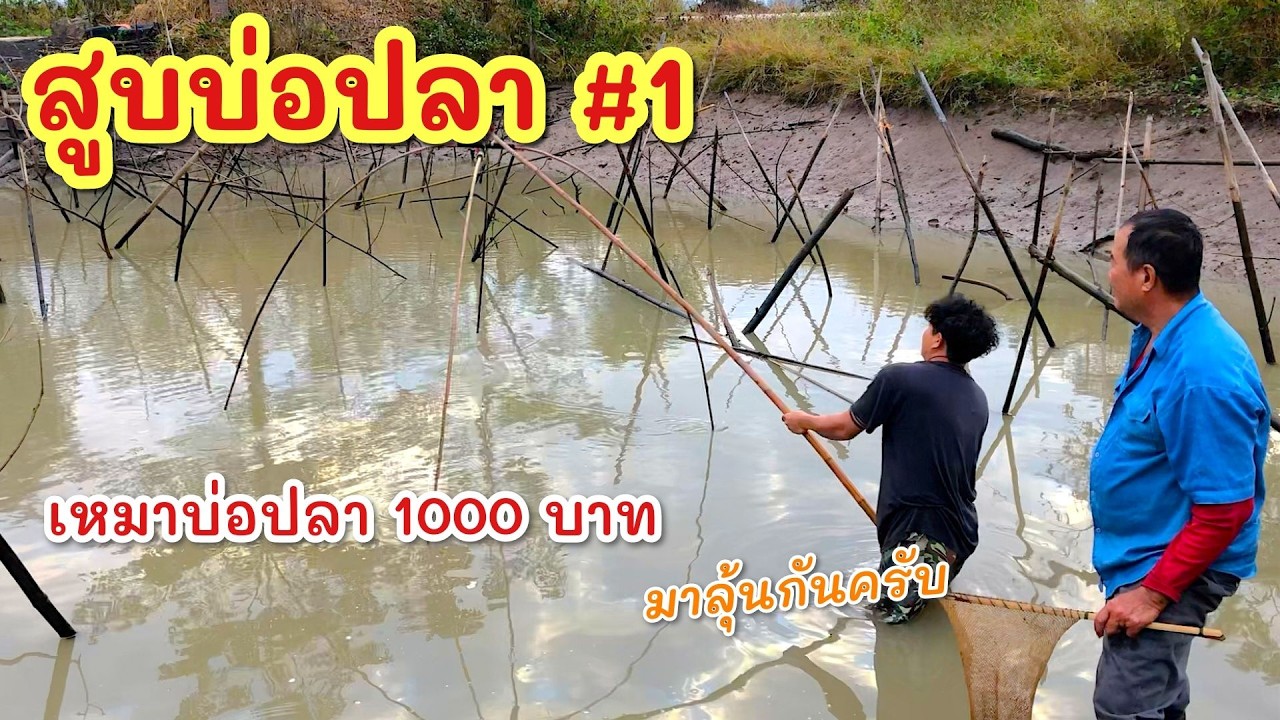 ยกยอ สูบสระ1000.-฿ ►Fishing lifestyle Ep.866