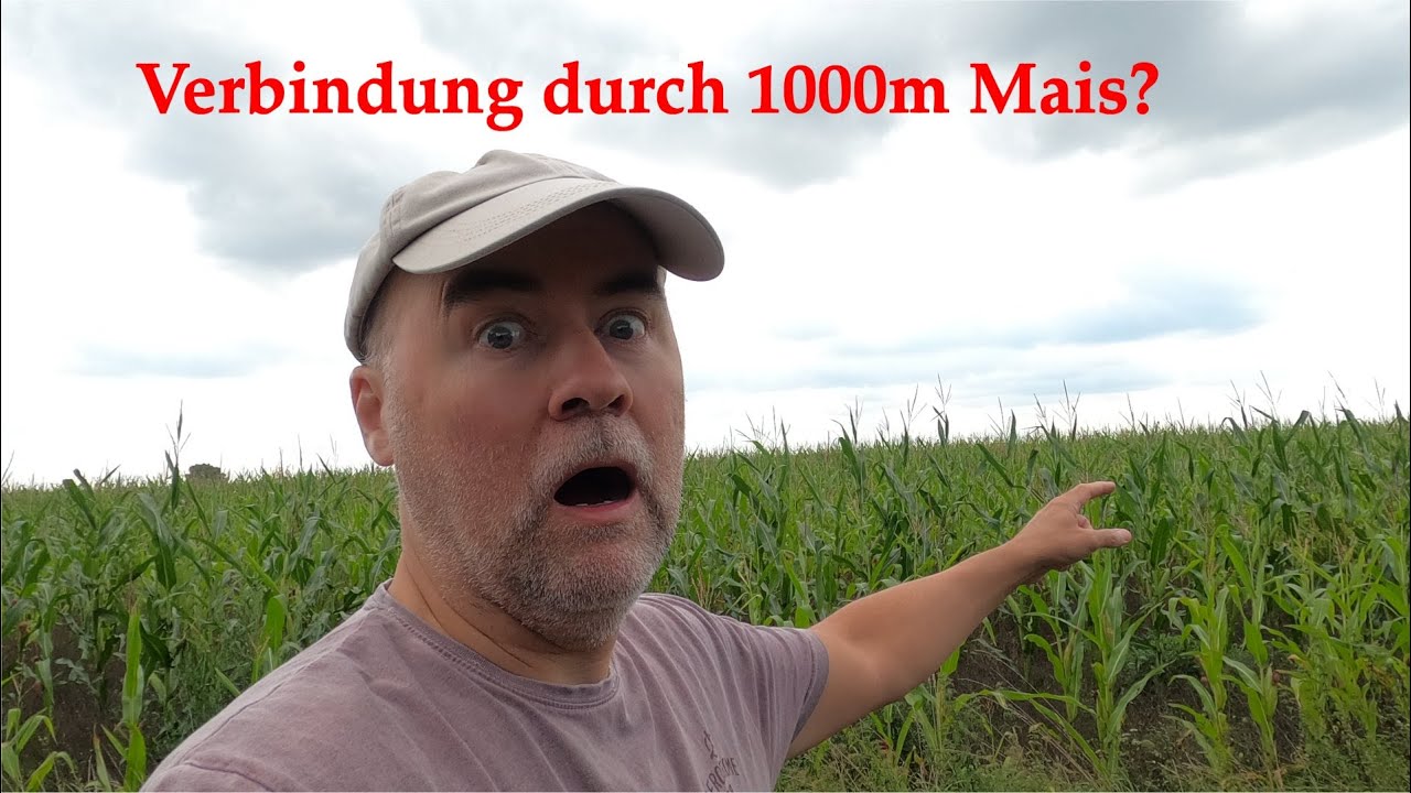 DJI Mini 2 - Verbindungstest durch 1000m Maisfeld!