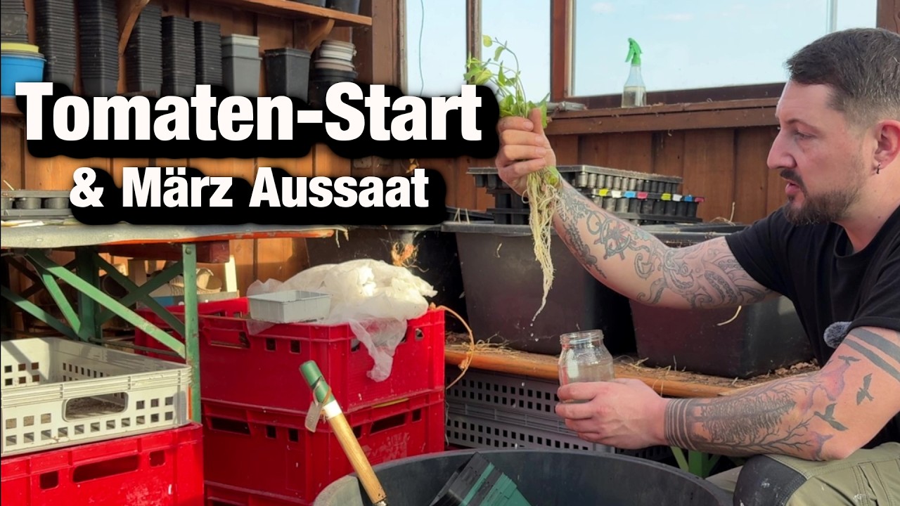 Gemüse Aussaat im März, meine Tomatensorten dieses Jahr, Süßkartoffel eintopfen.