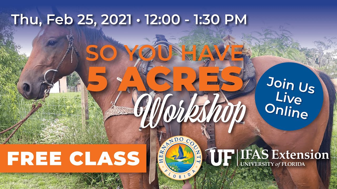 So You Have 5 Acres- Pasture Management For Livestock and Horses