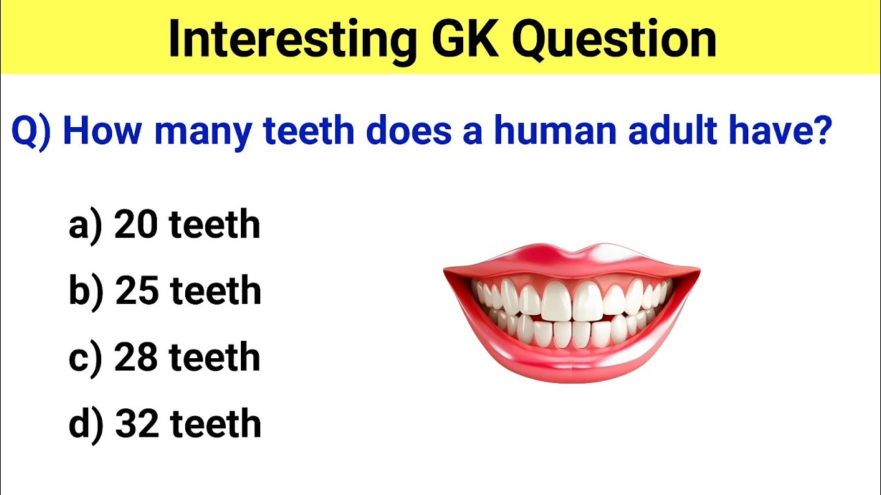 interesting gk questions in english | gk questions in english | gk questions and answers in english
