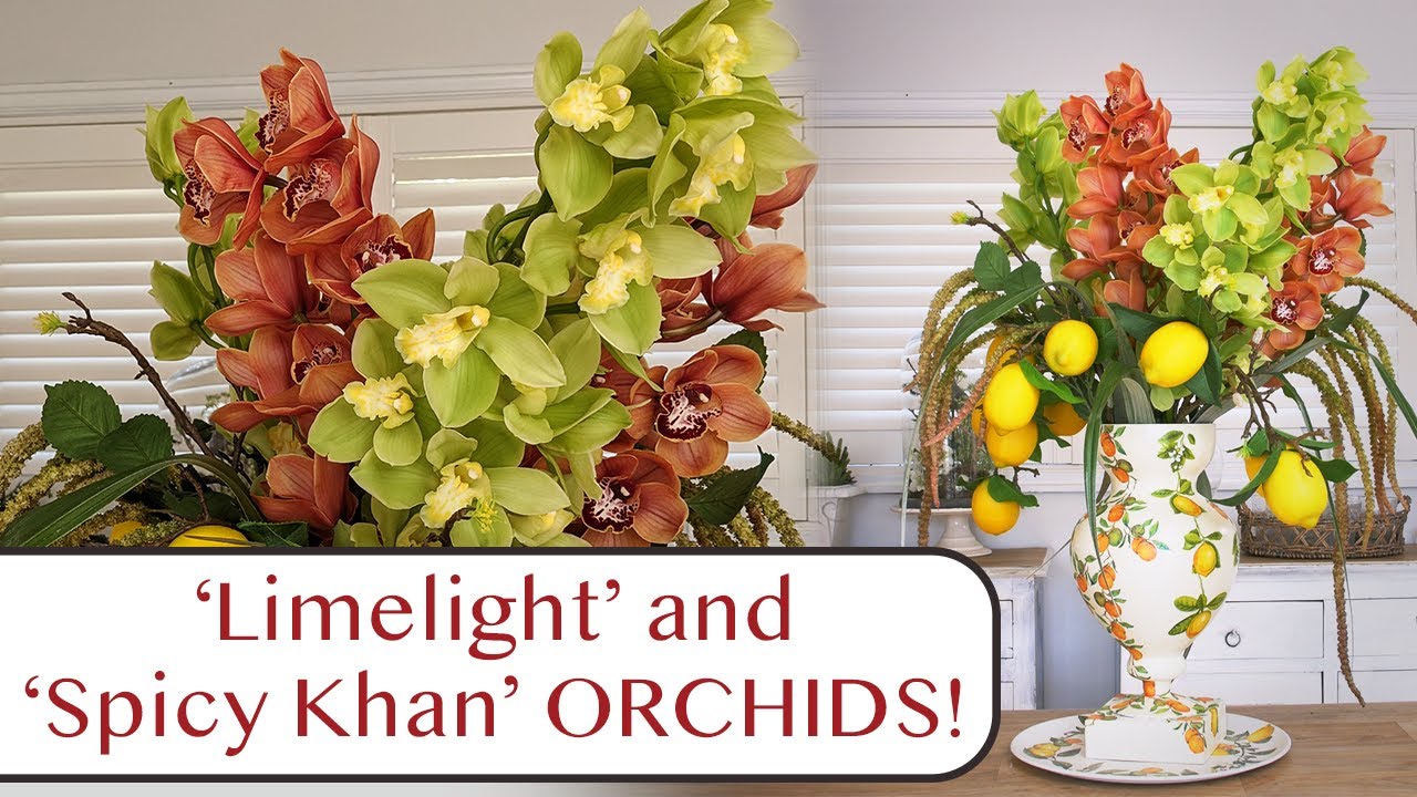Limelight & Spicy Khan Orchids! My 'Citrus Burst' Floral Design