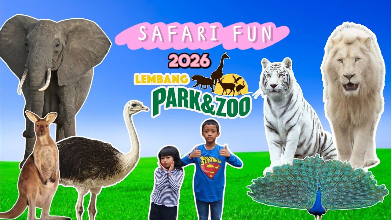 Kasih makan berbagai jenis hewan di Lembang Park and Zoo