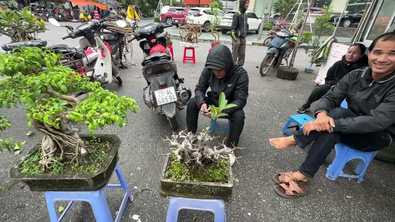 2,5 TRIỆU - HƯƠNG B&Aacute;O GI&Aacute; DUỐI ĐẸP, ANH KẾ B&Aacute;O GI&Aacute; SI ĐA TR&Ograve;N 100, KINH NGƯỜI