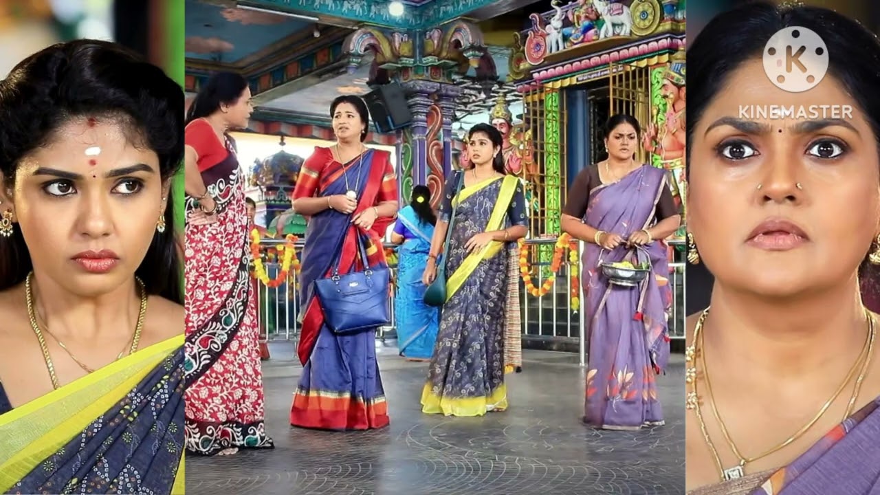 பாண்டியன் ஸ்டோர்ஸ் 12.3.2026. பஜாரி பாக்யம். கோபததில் கோமதி. குறுகி நின்ற மீனா. சீரியல் ரிவ்யூ.
