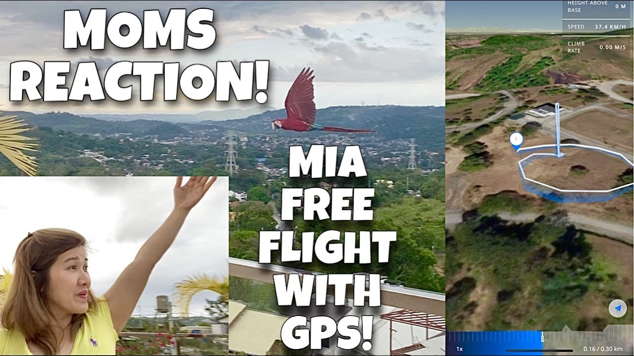 MOM REACTS TO MIA'S FIRST FREE FLIGHT WITH GPS! Finally malaya NA Mia! (MACAW PARROT) | Murillo Bros
