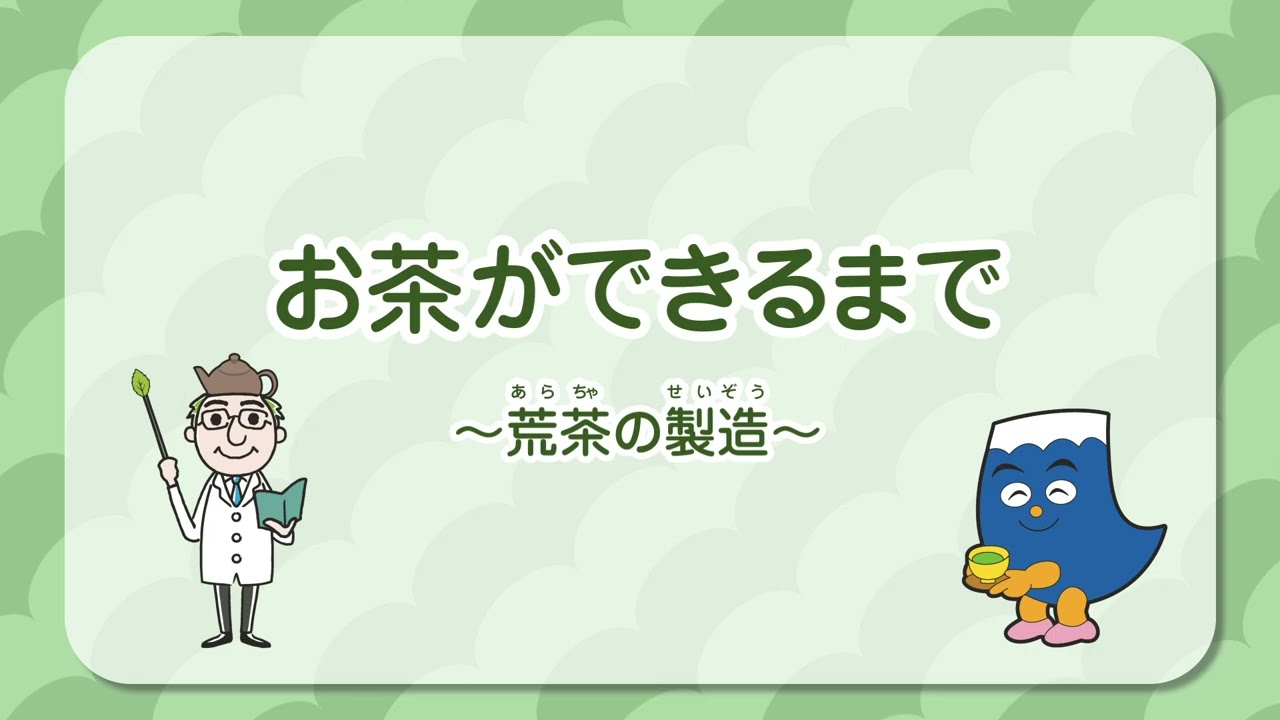 お茶ができるまで 荒茶の製造