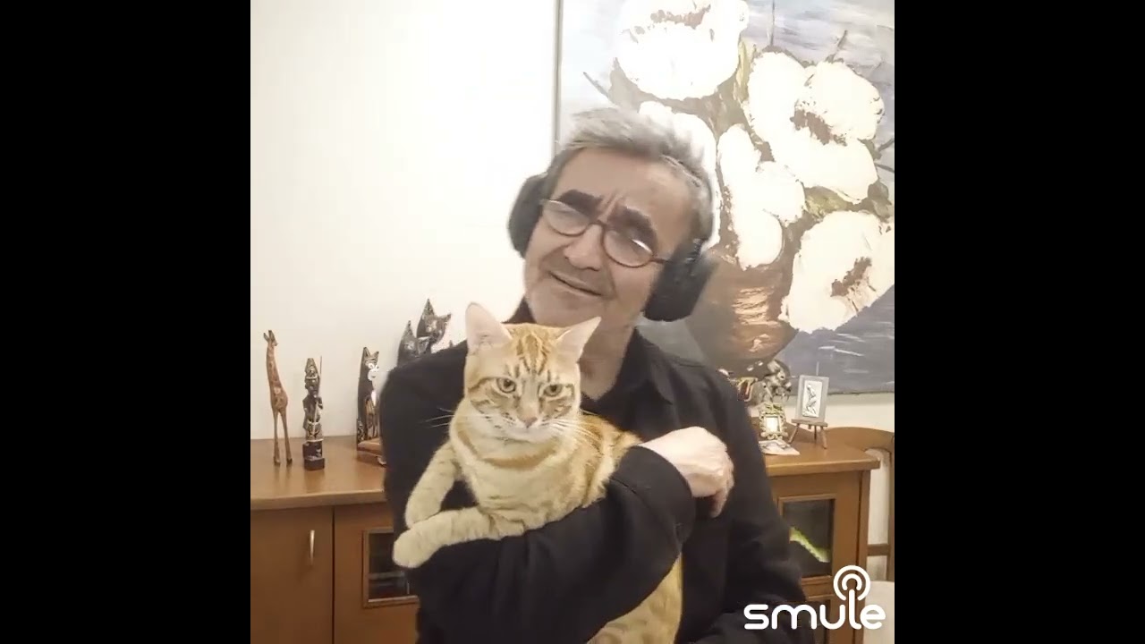 Söyle derdini kaç yıl çekecek bu dertli başım