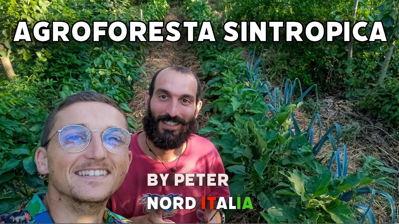 Una vera Agroforesta Sintropica in Nord Italia - By Peter (Ibu Bumi Agricoltura Sintropica)