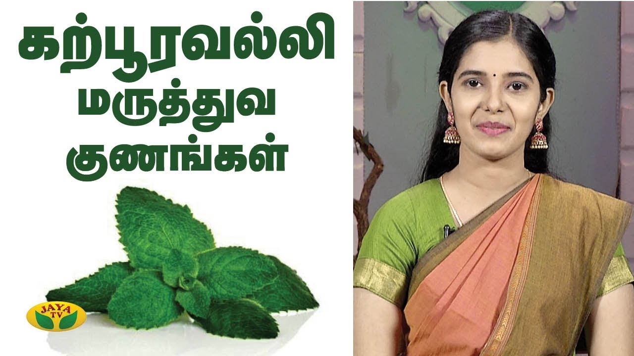 கற்பூரவள்ளி பயன்கள் | Karpooravalli | Nutrition Diary | Adupangarai | Jaya TV