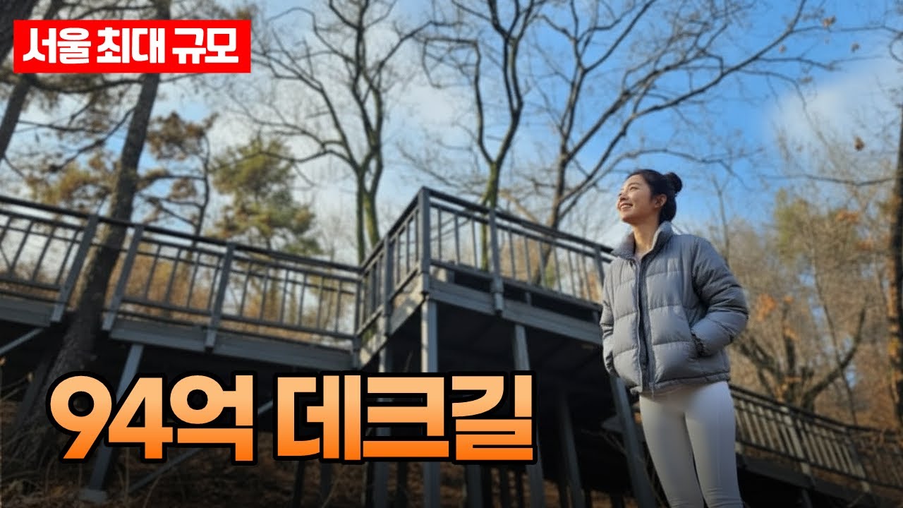 94억짜리 무장애 데크길! 서울 노원에 숨은 힐링 산책로
