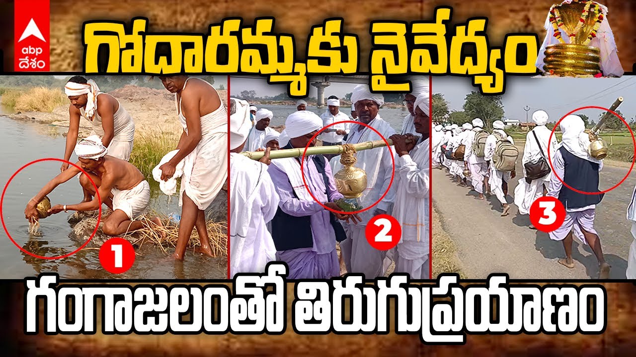 Keslapur Nagoba Jathara | హస్తలమడుగు నుంచి కేస్లాపూర్ కు బయల్దేరిన మెస్రం వంశీయులు | ABP Desam
