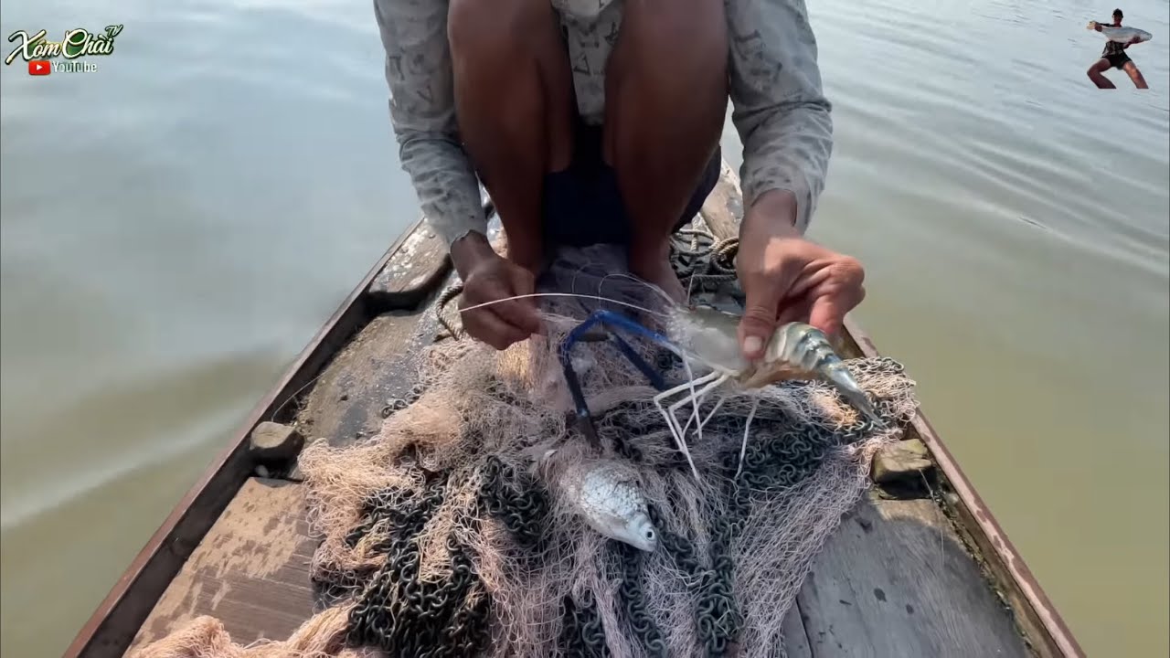 Theo Con Nước Rồng Chài Buổi Chiều Bắt Cá Sát 