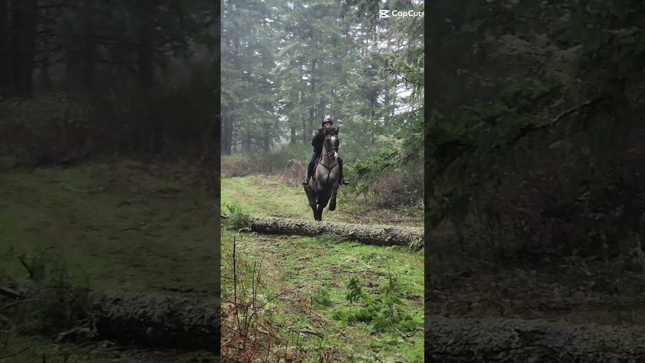 The over jump! 