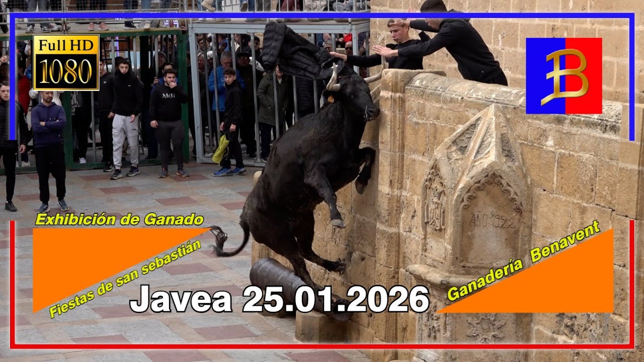 Javea 25▪️01▪️2026 San Sebastián ▪️Ganadería Benavent