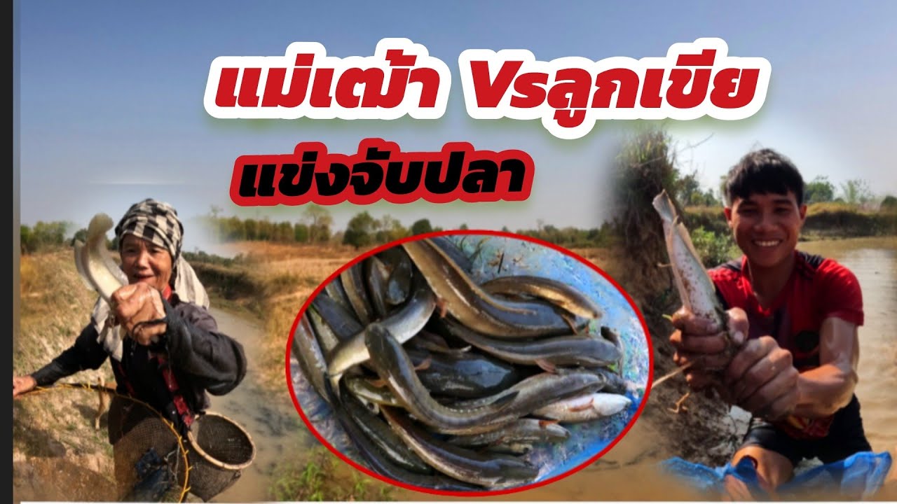 9 มีนาคม ค.ศ. 2026บ่าวทอนVsแม่เฒ้าจับปลาแข่งกันได้เยอะมาก//ບ່າວທອນVsແມ່ເຖົ້າແຂ່ງຈັບປາ