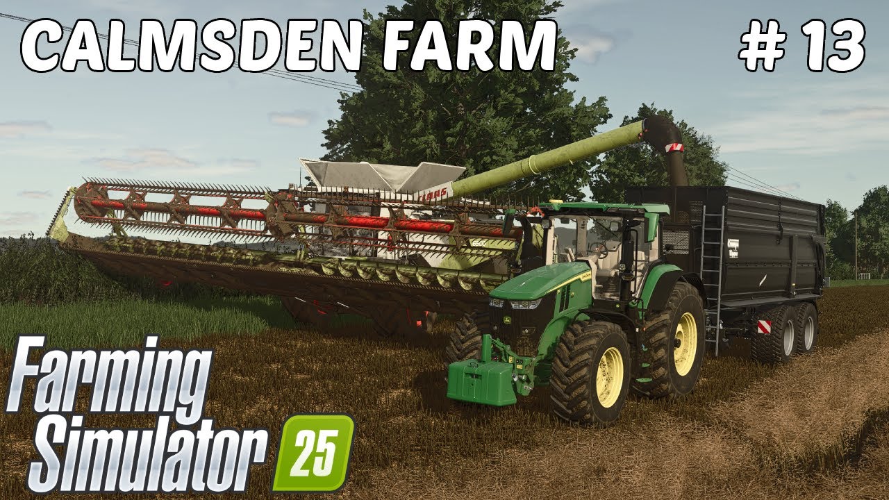 WE HARVEST THE BIG CANOLA FIELD!🔹Calmsden Farm  Ep 13🔹Farming Simulator 25