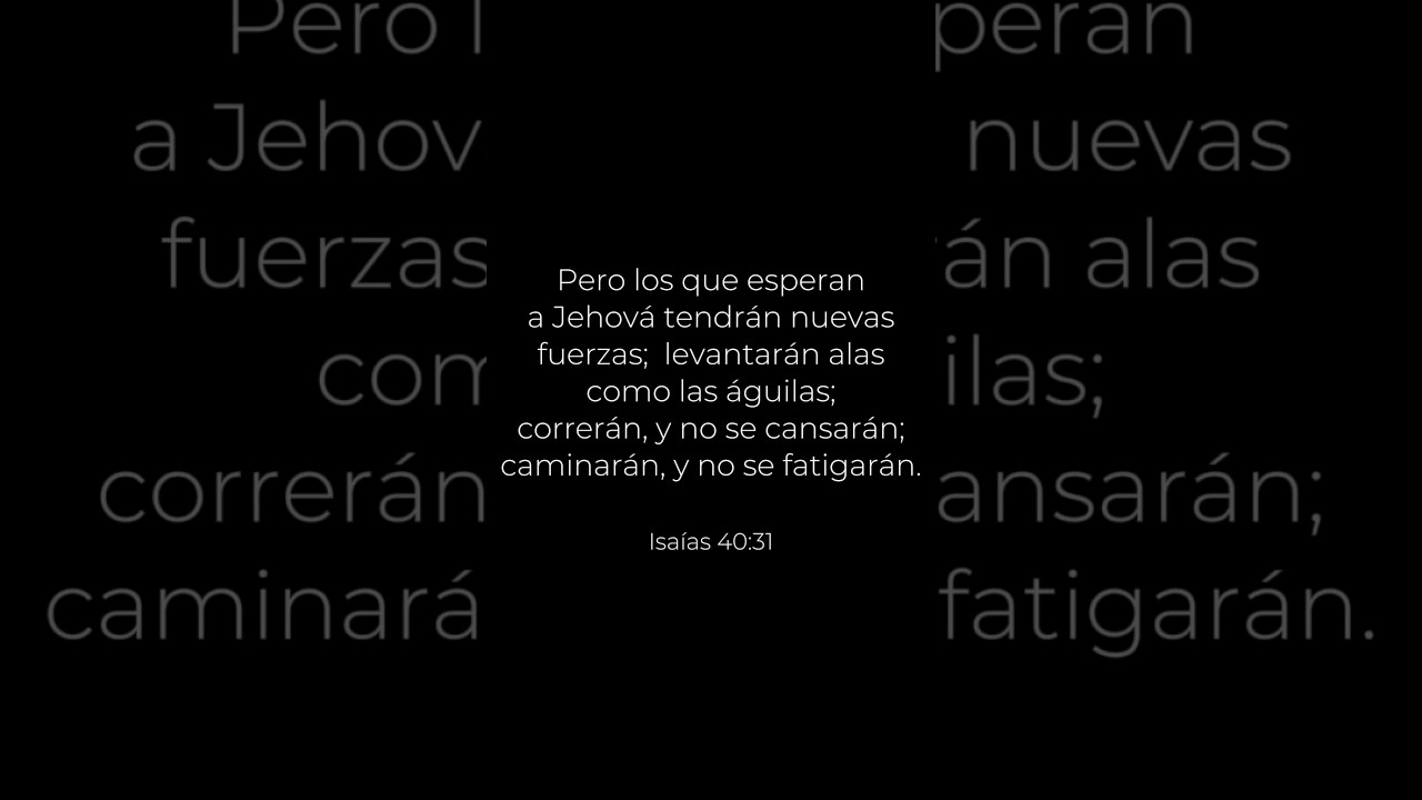Fuerza en la tormenta &mdash; Isa&iacute;as 40:31