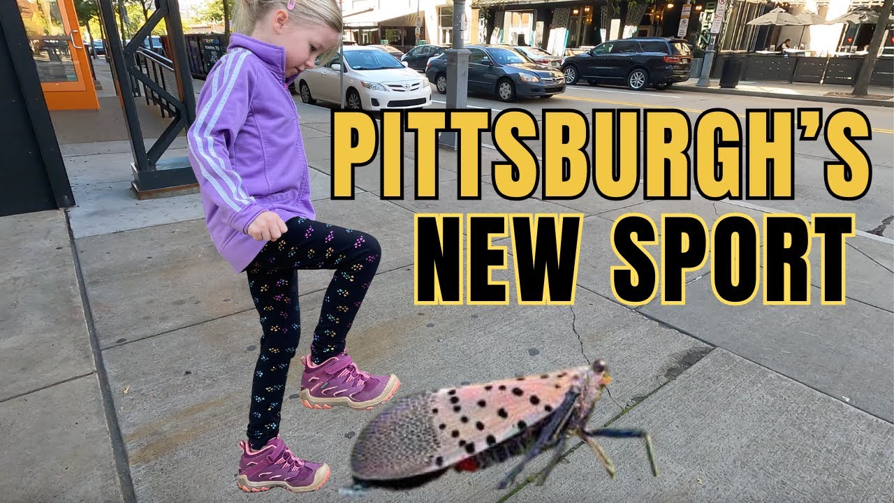 Travel Vlog Pittsburgh. Renting a Cabin and Killing Invasive Spotted Lantern Flies. Family Travel.