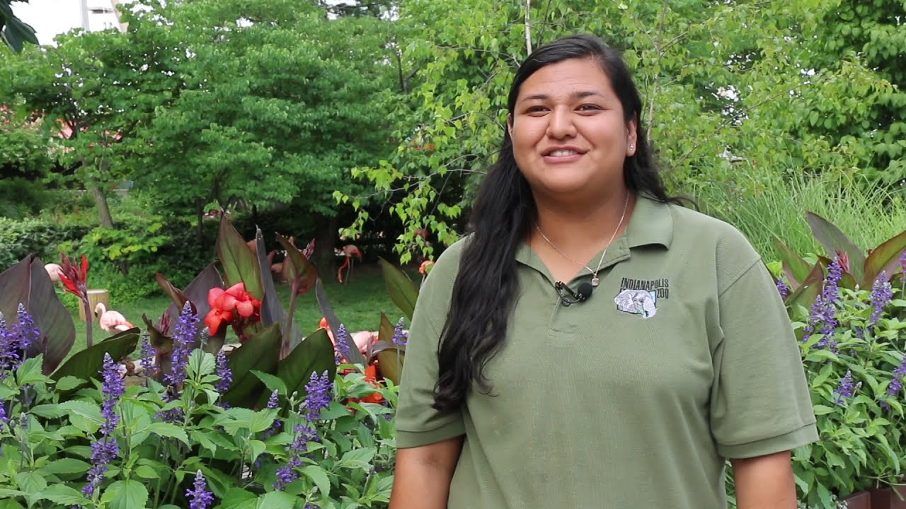 Top Reasons to Be a Zookeeper
