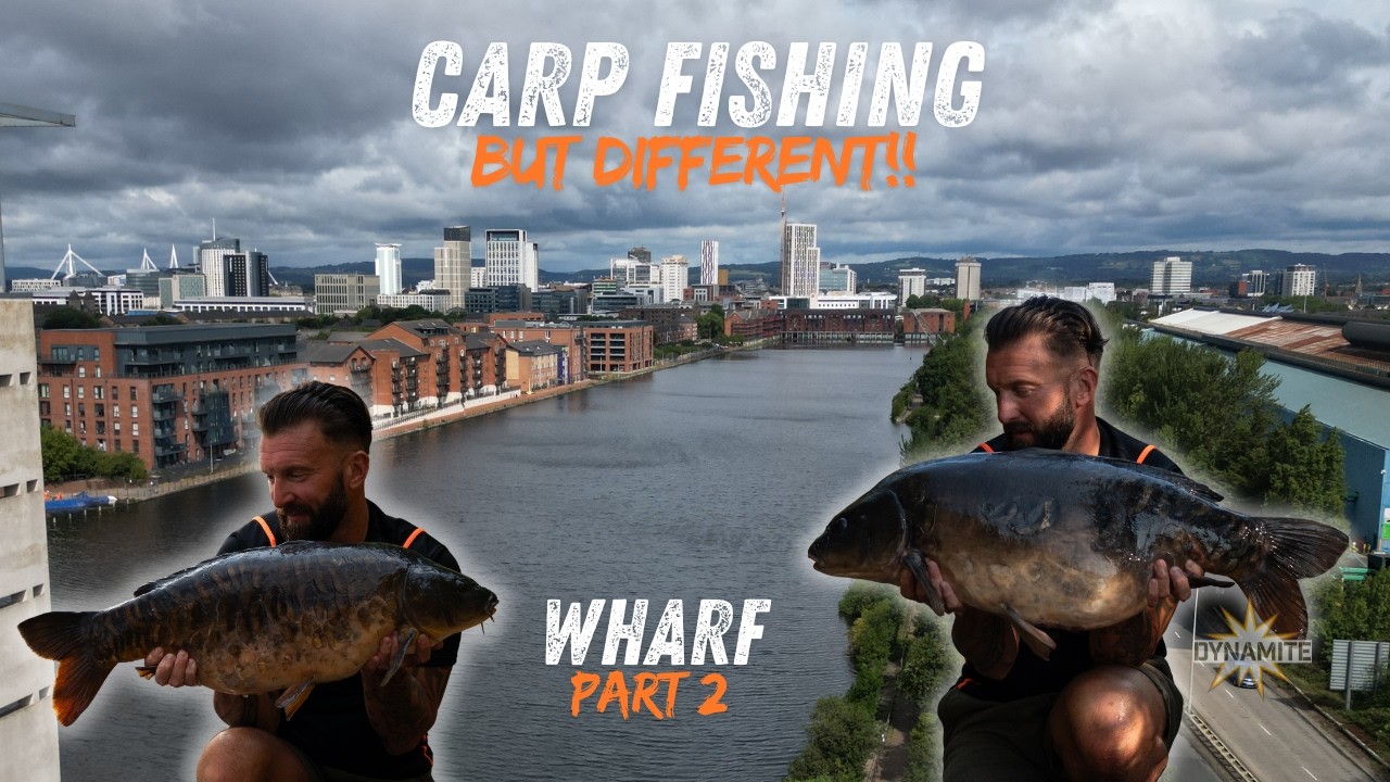 Urban Carp Fishing: Mike Bridges Returns to The Wharf!