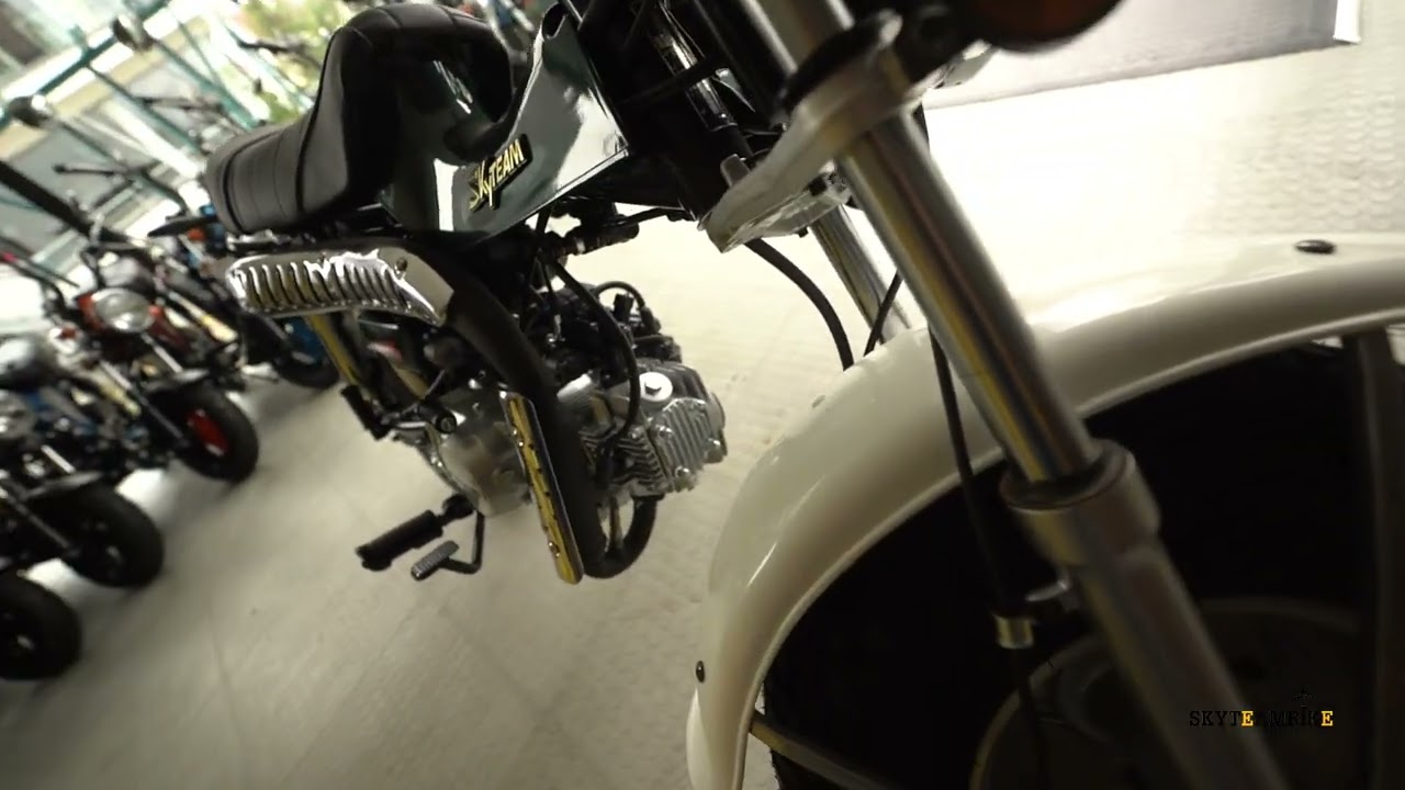 Skyteam T Rex 125cc