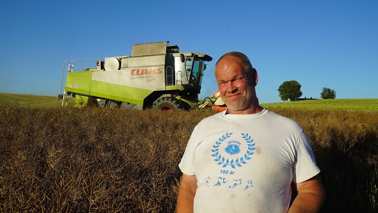 Tresking av høstraps med CLAAS LEXION 470 MONTANA hos Tore Martin Løken