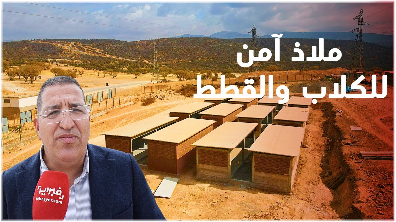 بمعايير دولية.. تشييد مأوى آمن للحيوانات الشاردة بأكادير يتسع لـ1200 كلب وقط
