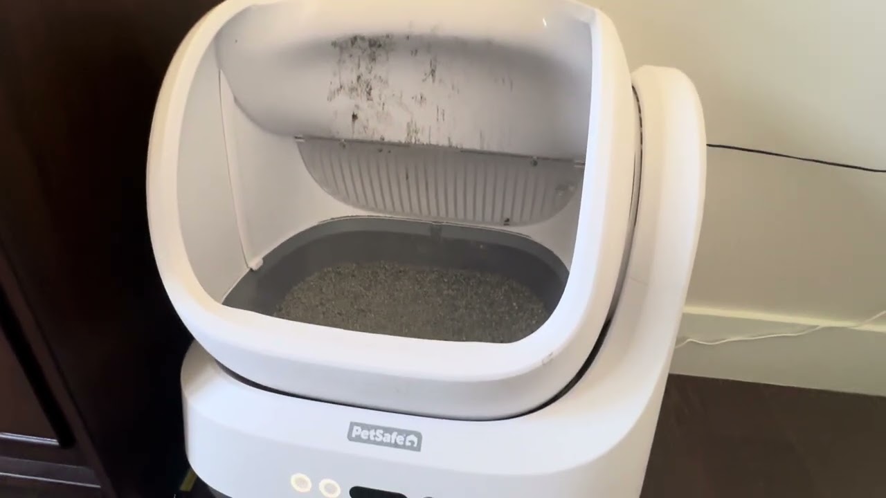 I Tested the PetSafe ScoopFree OpenSky Litter Box (Honest Review)