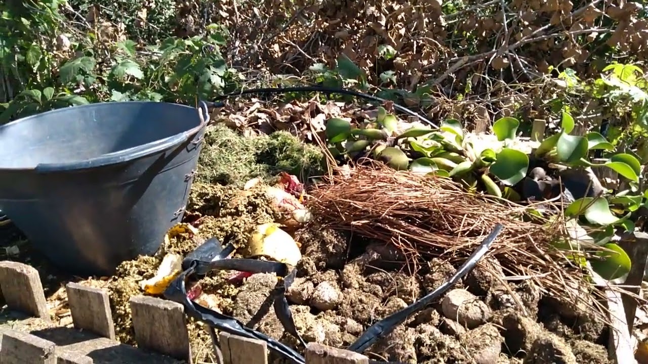 COMPOST - TIPS PARA ACELERAR EL PROCESO