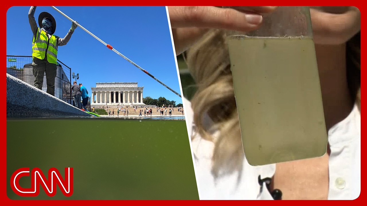 Interior dept says Reflecting Pool is 'crystal clear'