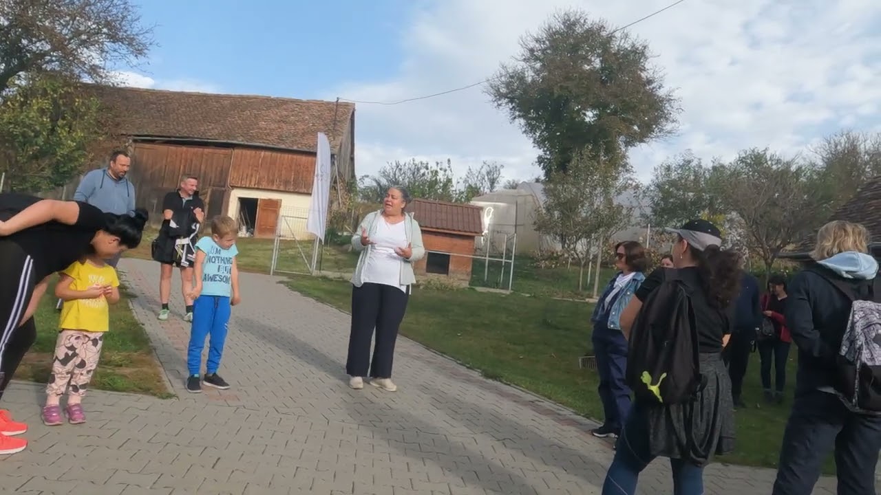 Sibiu to Vurpar