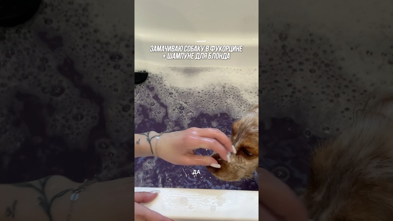 С ней только такие средства 👹 Использую #WW320166 (копируй с буквами и вставляй на WB)