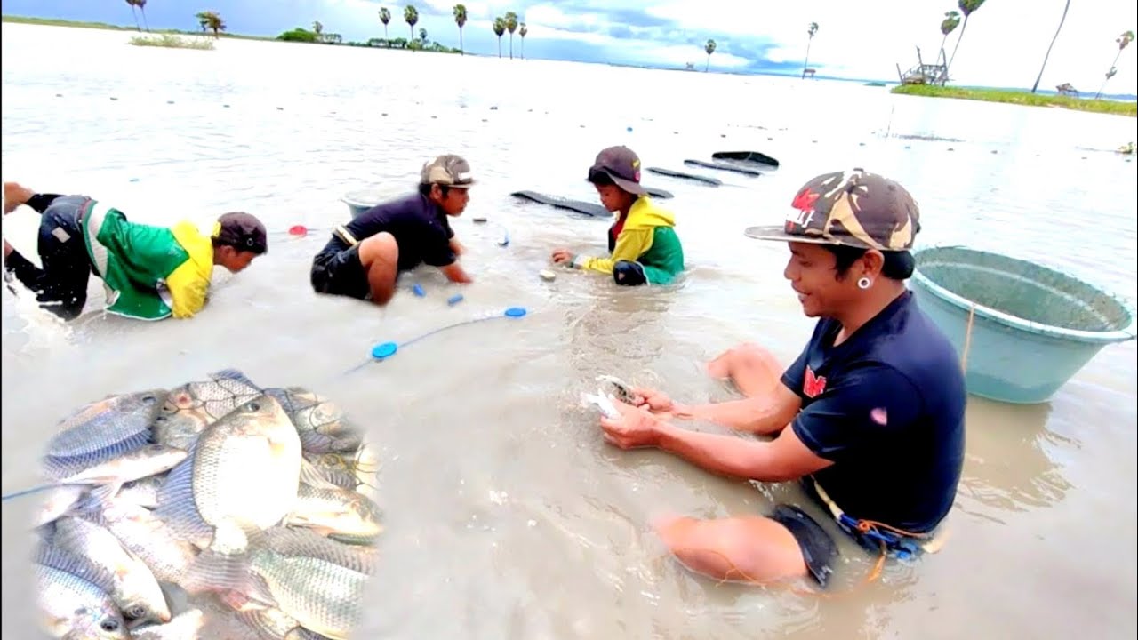 MENJARING IKAN NILA PANEN RATUSAN EKOR DI SAWA SAAT BANJIR