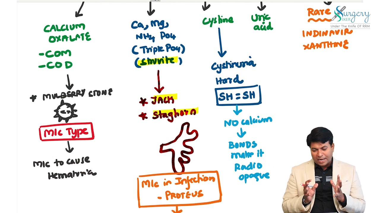 10 minute series  Renal stones