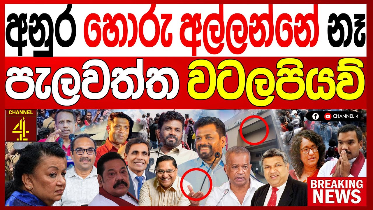 අනුර හොරු අල්ලන්නේ නෑ බොරුවක් කරන්නේ බැහැපියව් එලියට වටලමු පැලවත්ත මේක අතාරින්න එපා BREAKING NEWS