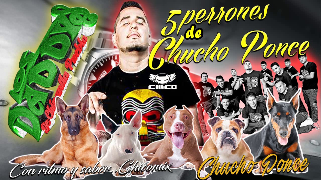 cumbias sonideras 2018 / 5 Temas Perrones LOS DADDYS DE CHINANTLA