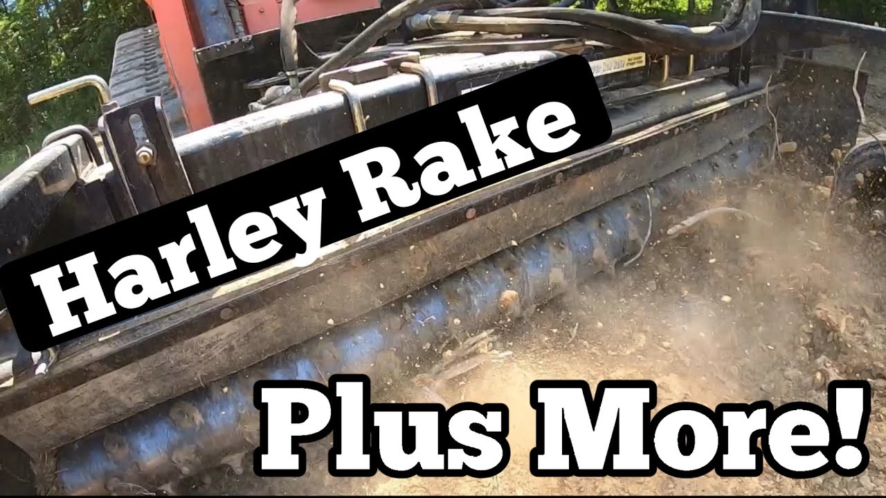 Harley Rake First Time User - PLUS - Cutting Dangerous Dead Trees