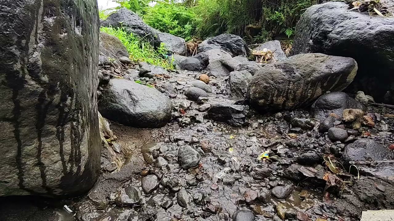 Peaceful Stream and Bird Sounds for Better Sleep | Insomnia Relief & Deep Study Focus