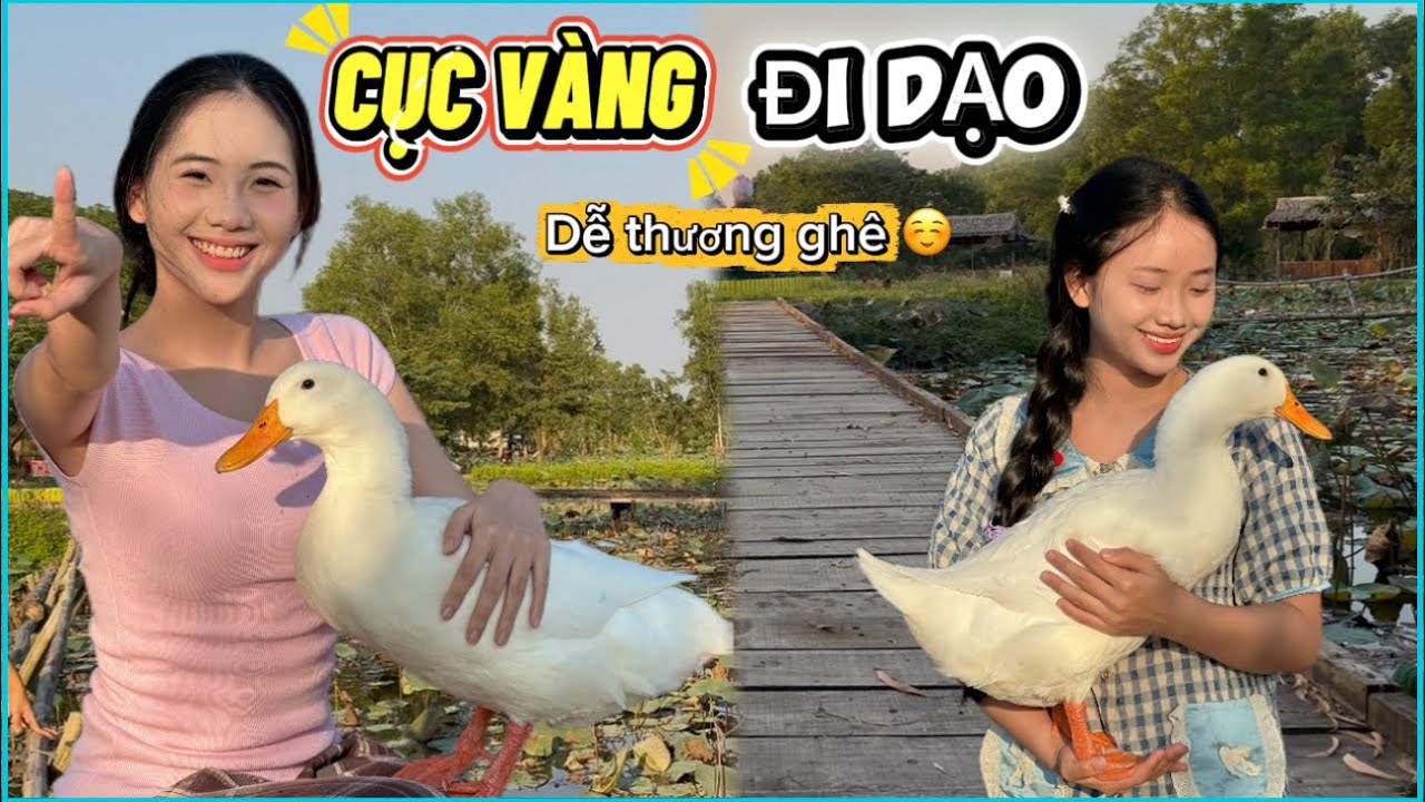 Dắt CỤC VÀNG ĐI Dạo Khu Sen Vắng , Ăn SỨA SỐT THÁI #youtube #vlog #viralvideo #duck #cute 