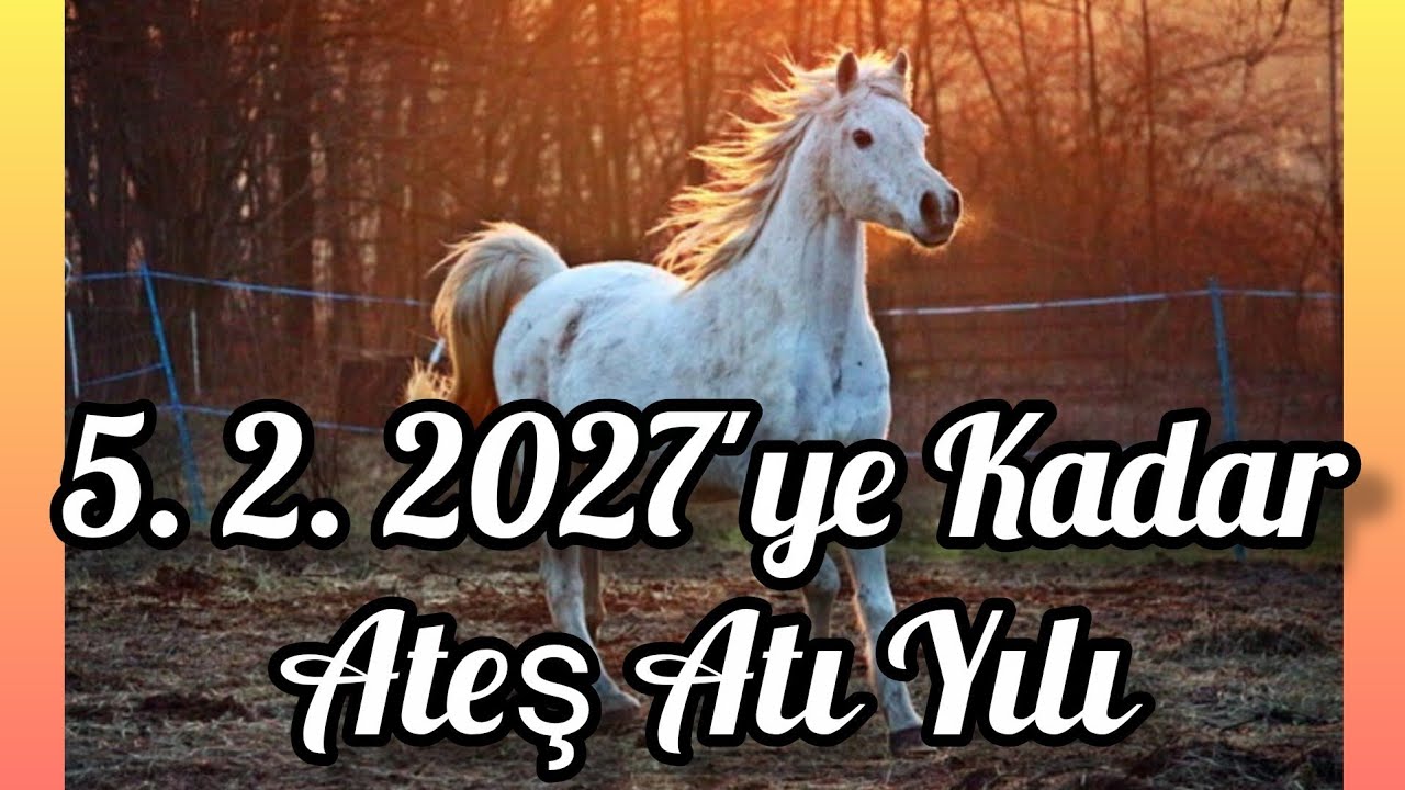 Özgürlük Senin. Büyük Çıkışlar, Cesur Girişimler. Bir Deste Seç. Zamansız Okuma. 