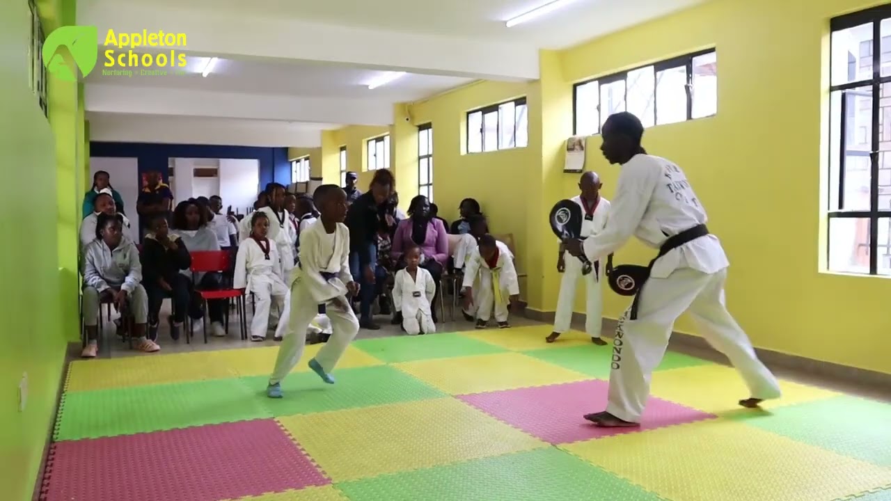 taekwondo classes at Appleton Schools