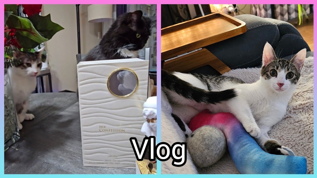 Įkalinti namuose: kaip laikosi Elektra,  kvepalai, kuom gydomės...🐱🙄🇺🇸