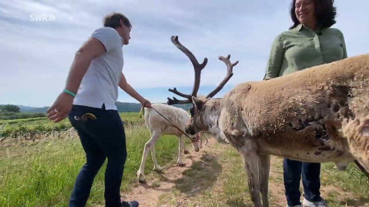Rentieralm in Niederhausen | Kaffee oder Tee